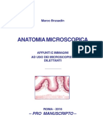 Anatomia Microscopica