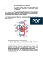 Sistem Peredaran Darah Manusia
