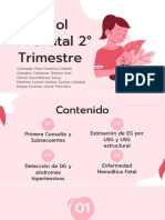 2do° Trismestre 