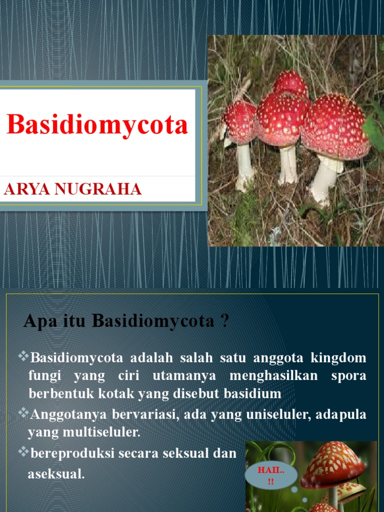 Basidiomycota | PDF