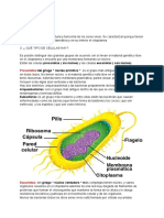 BIOLOGIA