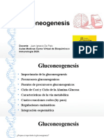2 - Gluconeogenesis
