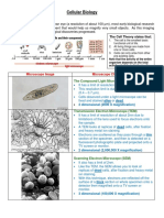 Cellular Biology & Microscopes