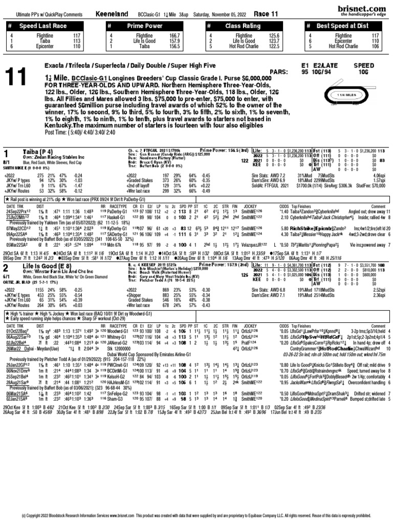 2022 breeders cup classic download free pdf animal racing