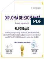 Diplomă de Excelență: Filipoiu David