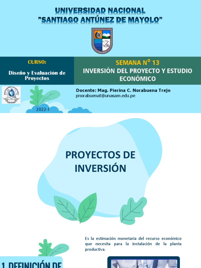 Estudio Económico de Proyectos de Inversión | PDF | Amortización ...