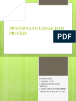 Pencernaan Lemak Dan Protein