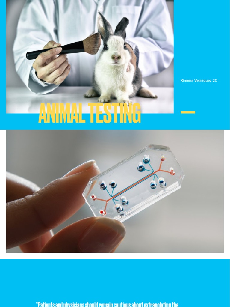 Animal Testing | PDF