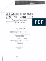 Turner MciLwraith Equine Surgery Advenced Techniques