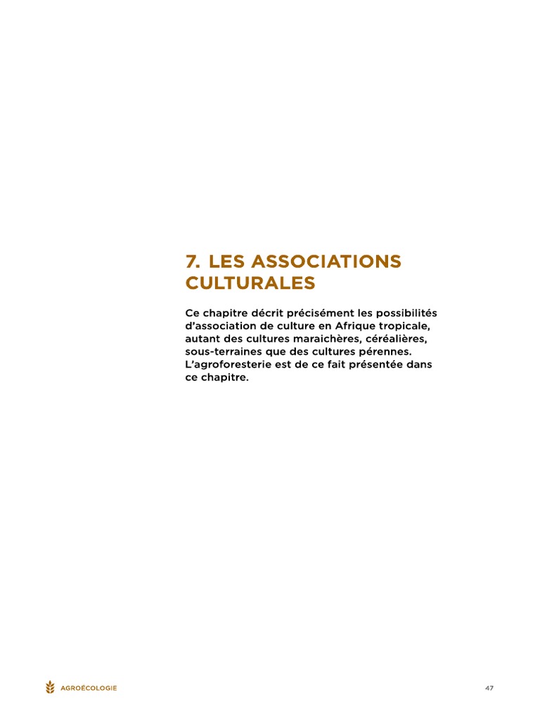 Chapitre 3 - Les Associations | PDF