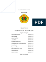 Penugasan 1 Plexus Sacralis K14