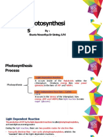 Photosynthesis (2 Meeting)