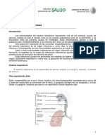 Guía Básica. Enfermedades Respiratorias (Artículo) Autor Gobierno de Mendoza