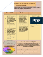 CC - SS Sesión N°24