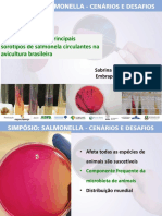 Epidemiologia dos principais sorotipos de salmonela circulantes na avicultura brasileira