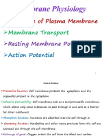Membrane Physiology: Structure, Transport, Potential