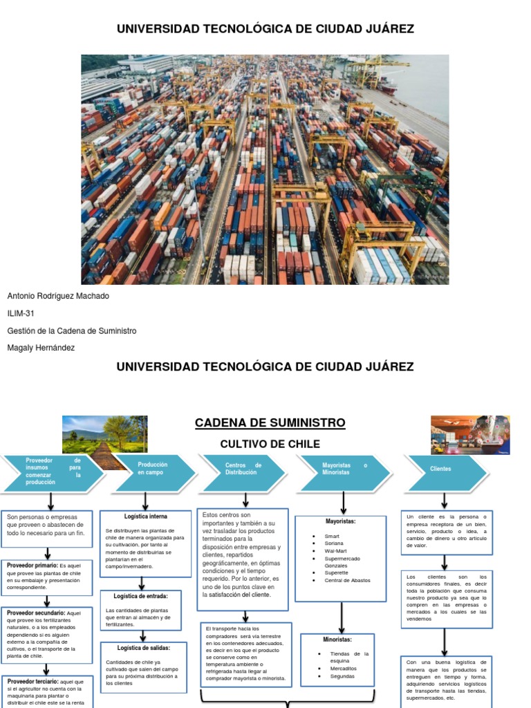 Cadena de Suministro del Chile | PDF | Logística | Business
