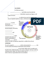 The Cell Cycle Worksheet