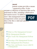 File Management: Organize Data and Improve Productivity