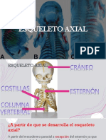 Esqueleto Axial y Apendicular