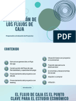 Construcción de Los Flujos de Caja