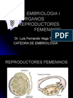 Embriologia I Organos Reproductores Femeninos