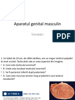 LP 9 - Patologia Aparatului Genital Masculin - Intrebari