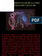 UD1 - Biomoléculas y Células - Parte I