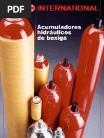 Acumulador de Bexiga Portugues