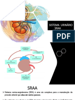 Sistema Renina-Angiotensina