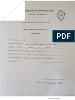 PRÁCTICA 2 IDENTIFICACIÓN DE HONGOS EQUIPO 7.