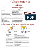 Sexual Reproduction in Human Notes