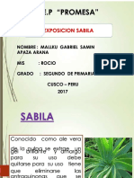 Pdf-Mayolica Compress