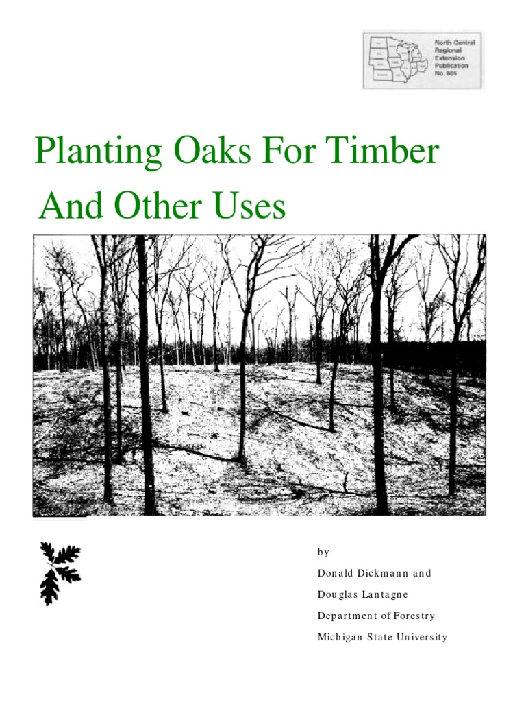 Planting Oaks For Timber PDF Plant Nursery Tillage