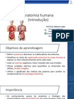 Anatomia Humana (Introdução)