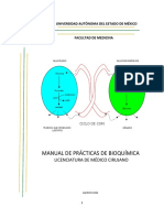 Manual de Prácticas 2022