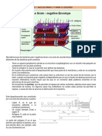 03-P1-12-2020 - Bacilos Gram + y Gram - Dra. Claudia.