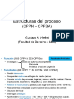 1 Esctruc Proceso CPPN-CPPBA-CPPF (2020-09-21)