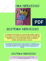 Sistema nervioso humano