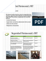 REPORTE SP - SST Sem-39