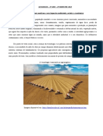 03- GEOGRAFIA 2º ANO - A AGRICULTURA MODERNA E IMPACTOS - 2021