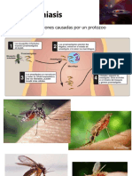 Parasitologia