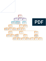 Mapa Conceptual Protocolo II