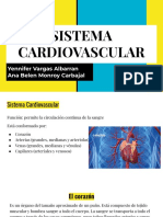 Sistema cardiovascular: circulación sanguínea y componentes clave