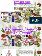 Fitoterapia Por Aparatos y Sistemas