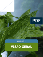 Modulo-1---Visao-Geral_eadb2000ddbd42468ac95f40e84558b2
