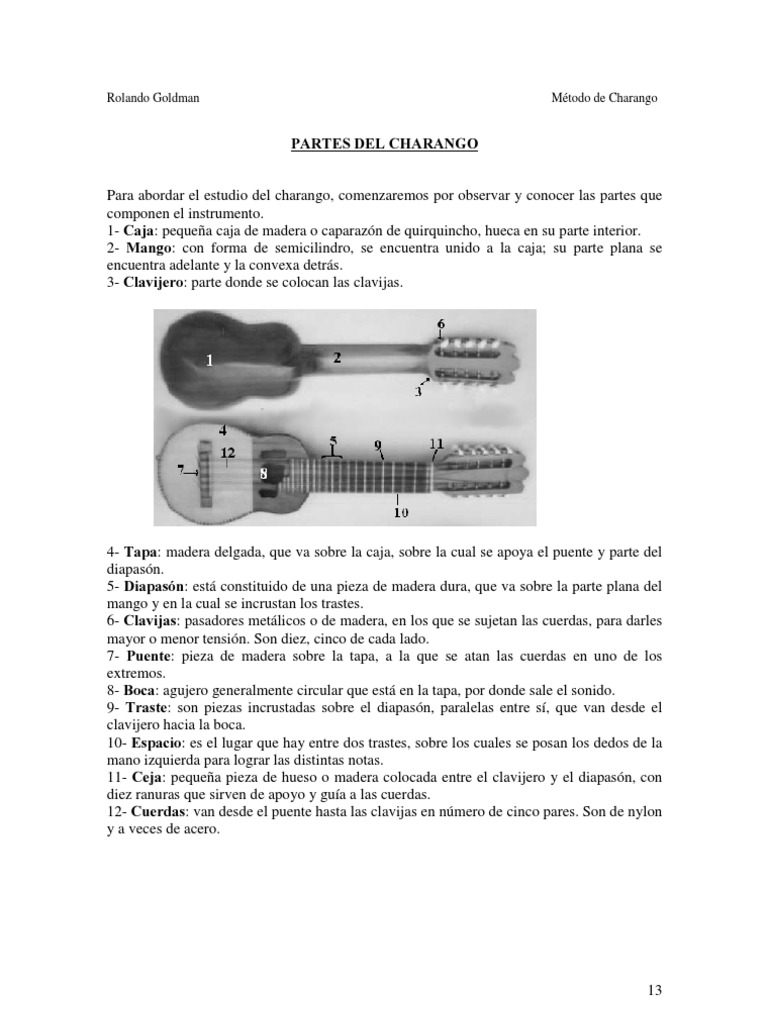 Partes Del Charango Pdf
