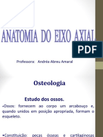 Anatomia Axial Coluna Vertebral. Andrea