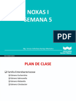 SEMANA 05 - Teoria Noxas I