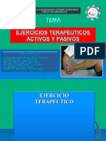 Ejercicios Terapeuticos